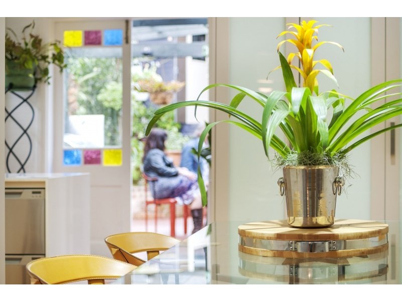 193 Norton Street, Leichhardt NSW 2040