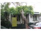 51 Probert Street, Camperdown NSW 2050