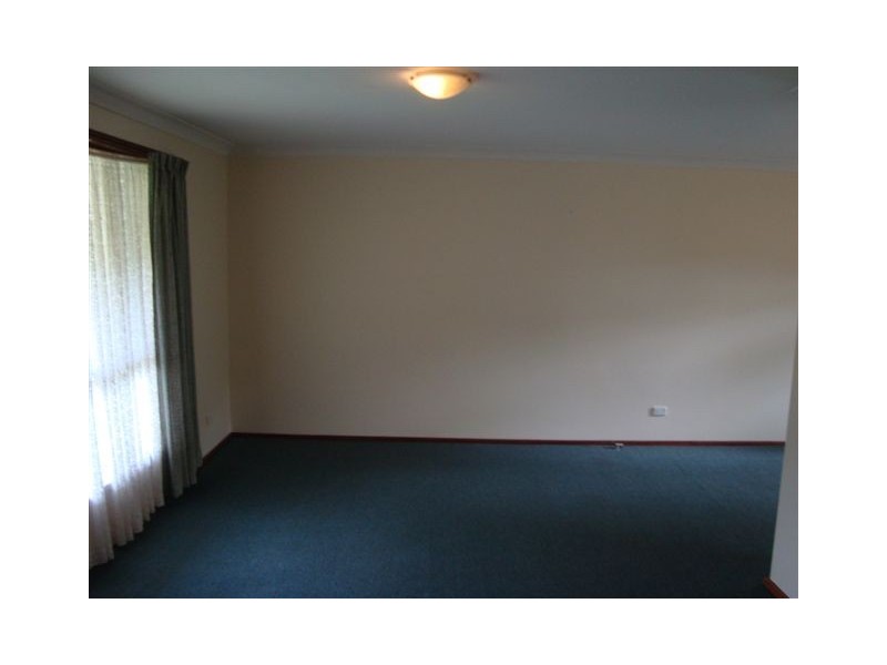 6 Bridle Avenue, Oakdale NSW 2570