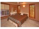 167 Werombi Road, Grasmere NSW 2570