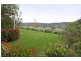 85 Carrolls Road, Menangle NSW 2568