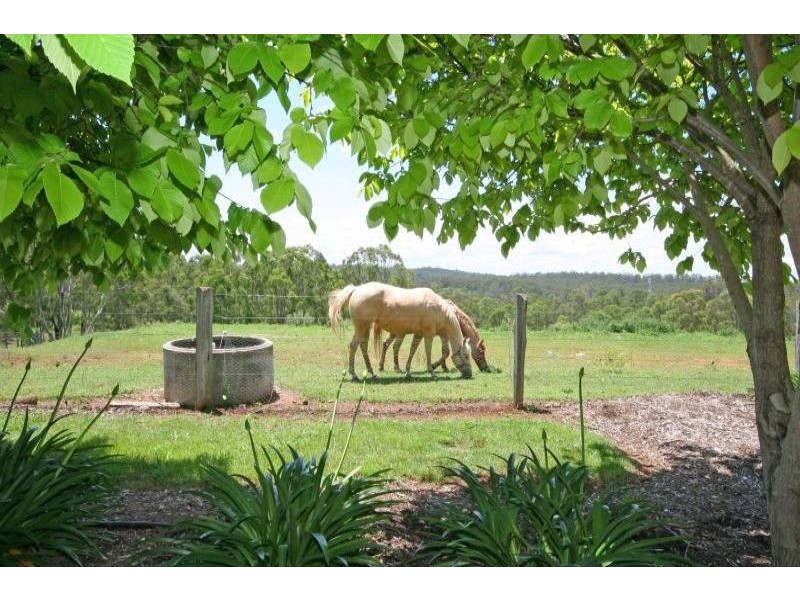 164C Coates Park Road, Cobbitty NSW 2570