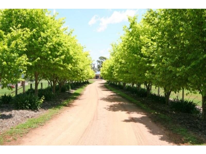 164C Coates Park Road, Cobbitty NSW 2570