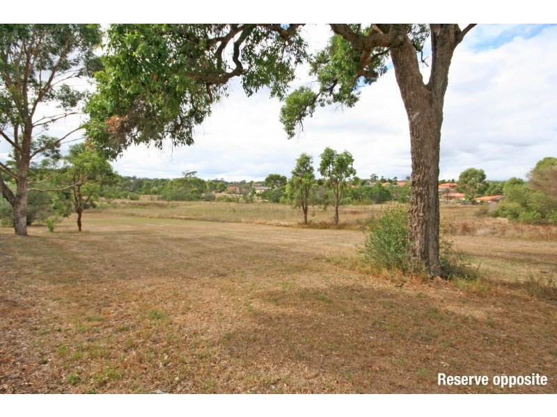 39 Banksia Road, Mount Annan NSW 2567