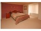 7  Perry Court, Harrington Park NSW 2567