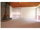 43 Griffiths Avenue, Camden South NSW 2570