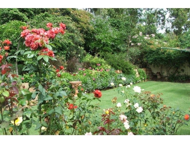 8 Arietta Circuit, Harrington Park NSW 2567