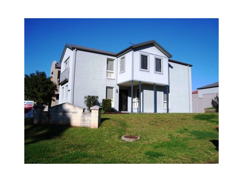 61 Banksia Road, Mount Annan NSW 2567