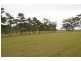 115 Colonel Pye Drive, Cobbitty NSW 2570