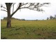 115 Colonel Pye Drive, Cobbitty NSW 2570
