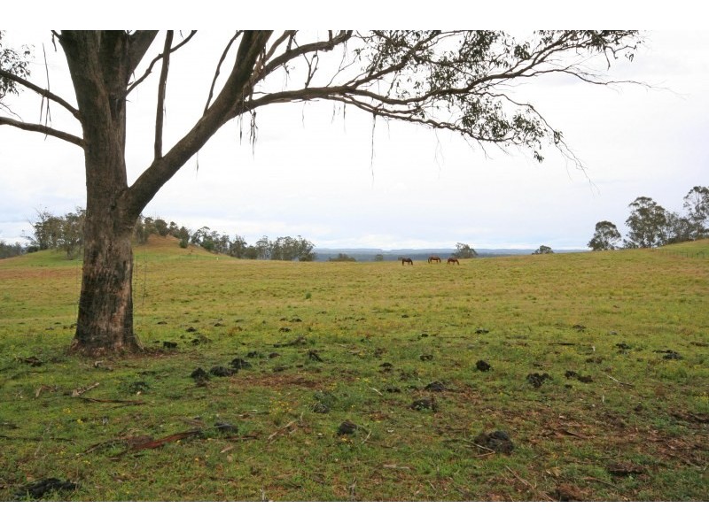 115 Colonel Pye Drive, Cobbitty NSW 2570