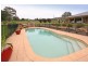 55 Ambervale Drive, Orangeville NSW 2570