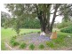 55 Ambervale Drive, Orangeville NSW 2570
