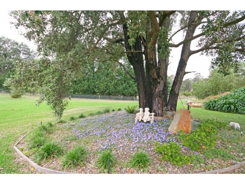 55 Ambervale Drive, Orangeville NSW 2570