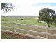 565 Menangle Road, Douglas Park NSW 2569