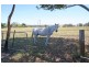 290 Cawdor Road, Camden NSW 2570
