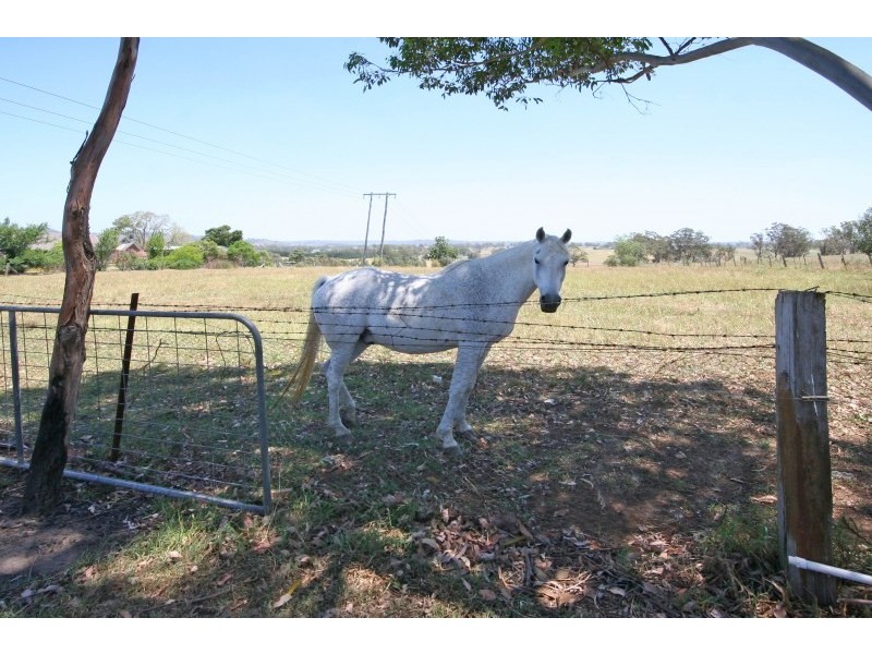 290 Cawdor Road, Camden NSW 2570