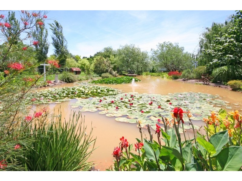 70 Wattle Creek Road, Camden NSW 2570