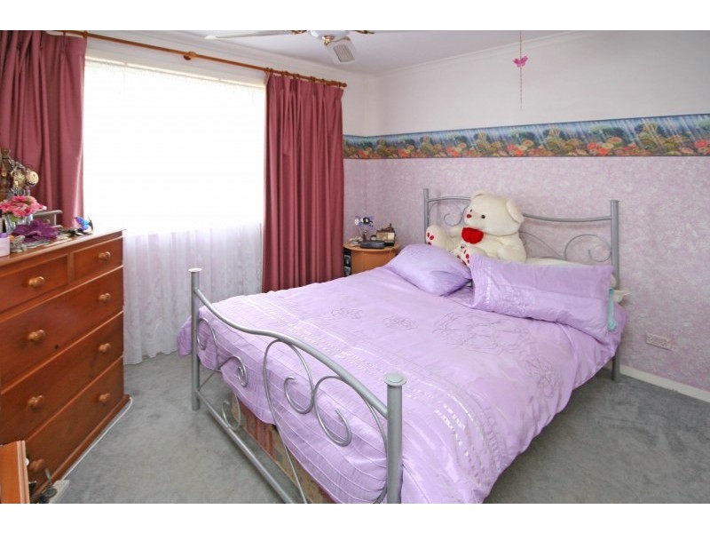 19 Richardson Road, Narellan NSW 2567