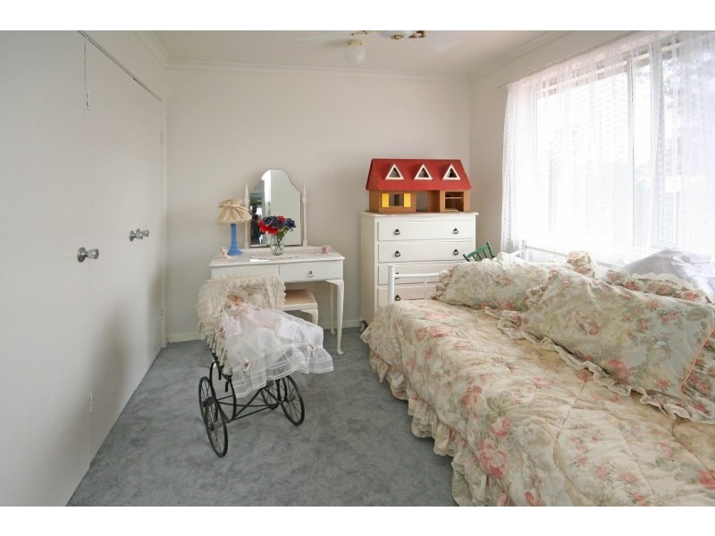 19 Richardson Road, Narellan NSW 2567