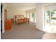102 Pindari Avenue, Camden NSW 2570