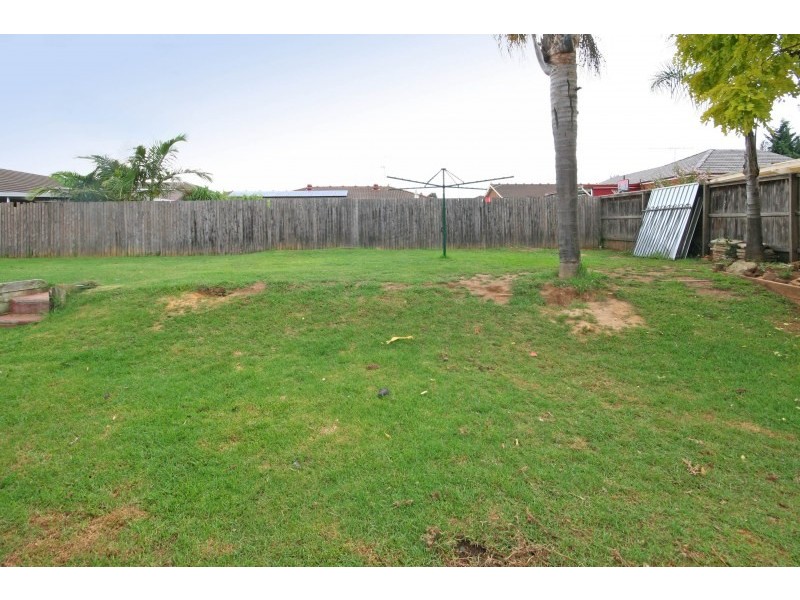 20 Holdsworth Drive, Narellan Vale NSW 2567