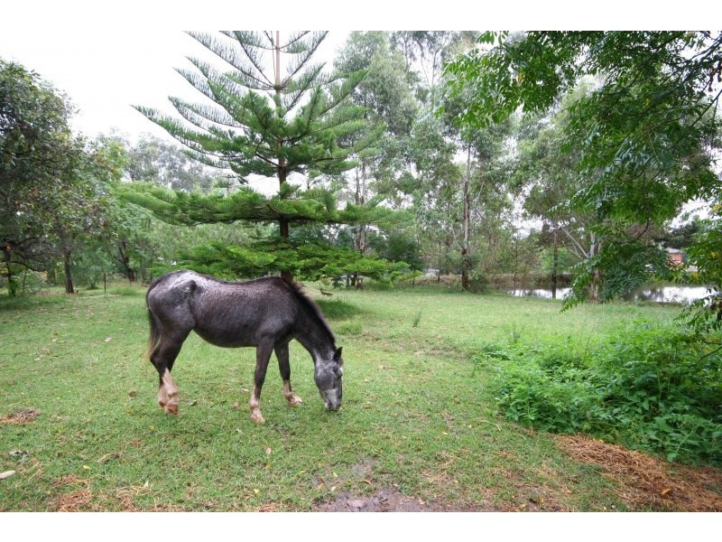 47 Ellis Lane, Ellis Lane NSW 2570