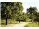 30 Frankum Drive, Orangeville NSW 2570