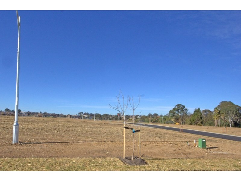 2406 Franzman Avenue, Elderslie NSW 2570