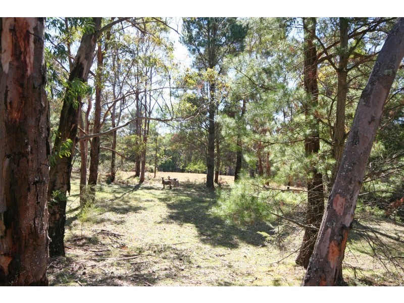 35  Russell Lane, Oakdale NSW 2570