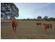 Donalds Range Road, Camden NSW 2570