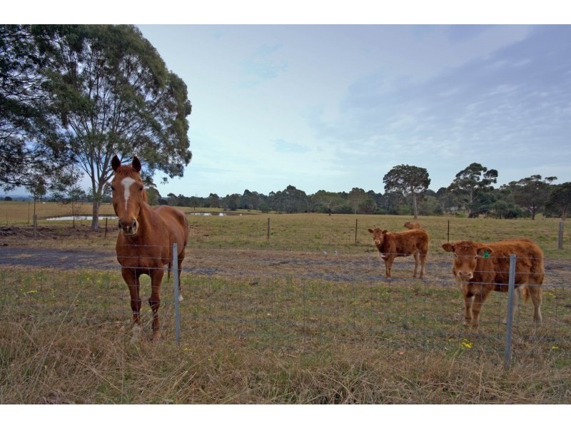 Donalds Range Road, Camden NSW 2570
