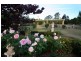 6 Willoughby Circuit, Grasmere NSW 2570