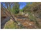45 Glenfield Drive, Currans Hill NSW 2567