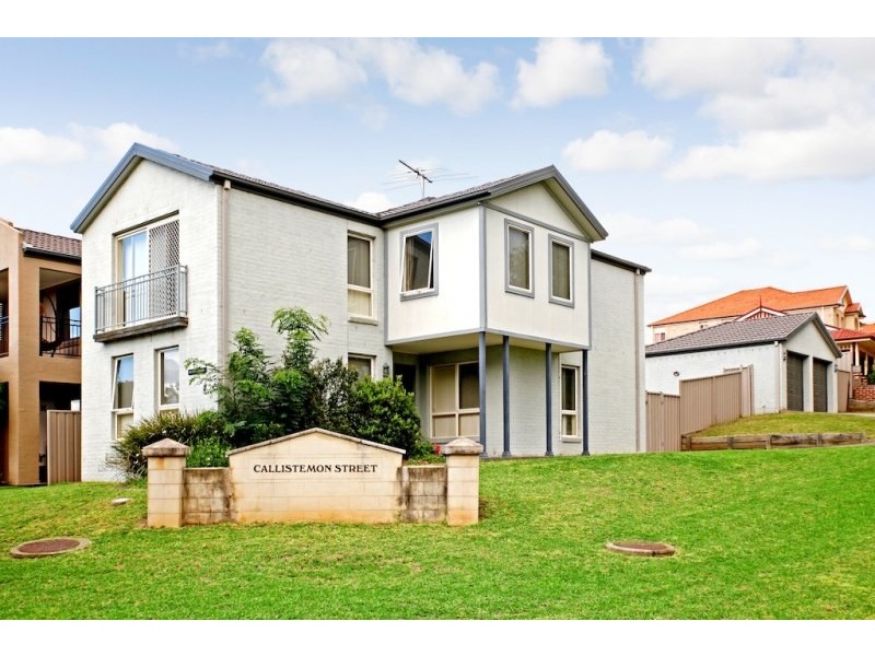 61 Banksia Road, Mount Annan NSW 2567