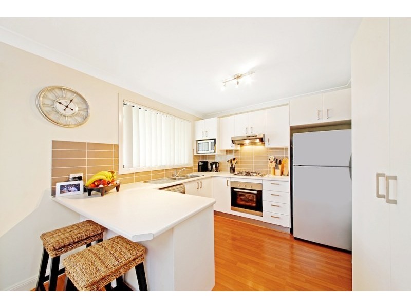 63 Ancona Avenue, Spring Farm NSW 2570