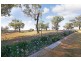 Cawdor NSW 2570