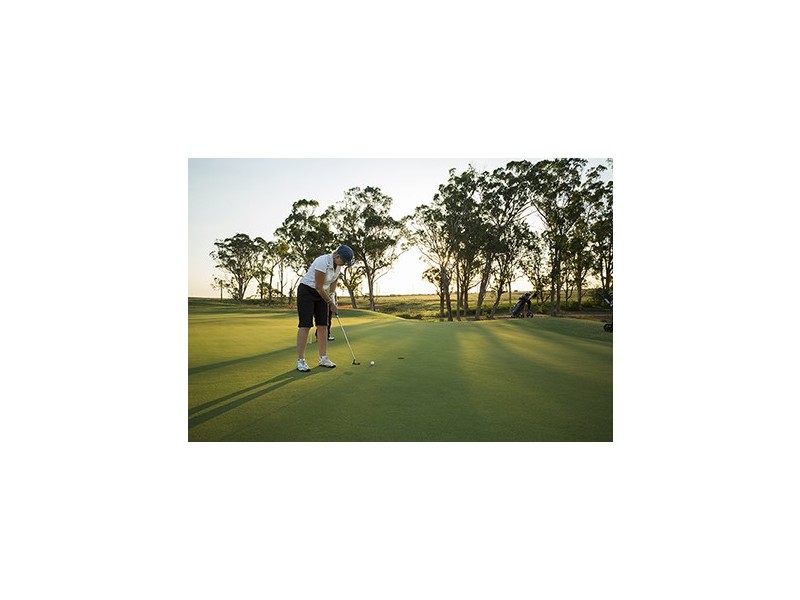 Lot 55 Greenbridge Drive, Wilton NSW 2571