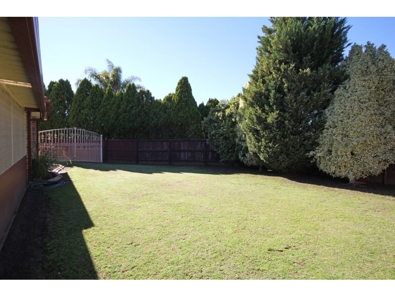 28 Cedarwattle Place, Narellan Vale NSW 2567