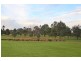 Lot 519,  Condron Circuit, Elderslie NSW 2570