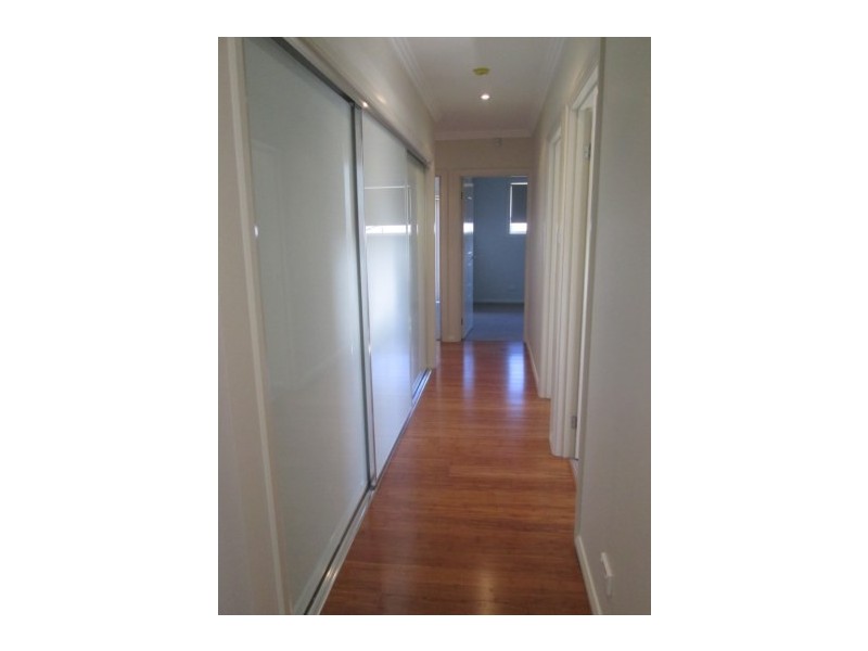 13 Franzman Avenue, Elderslie NSW 2570