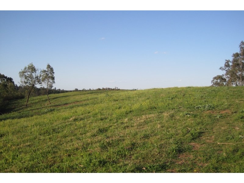 95 Big Hill Road, Camden NSW 2570