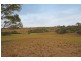 15 Hardwicke Street, The Oaks NSW 2570