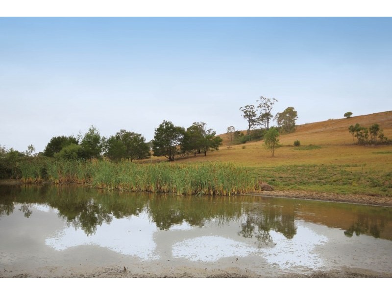 15 Hardwicke Street, The Oaks NSW 2570