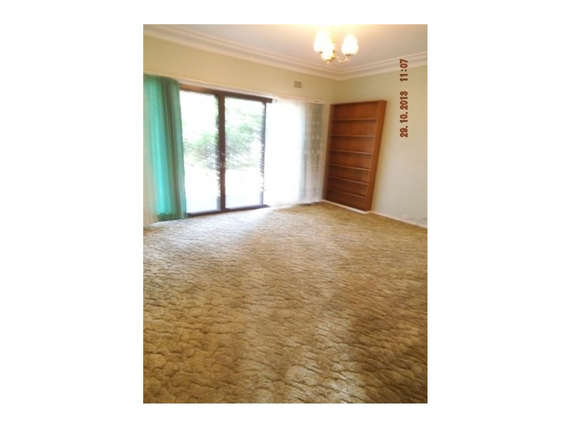 53 Harrington Street, Elderslie NSW 2570