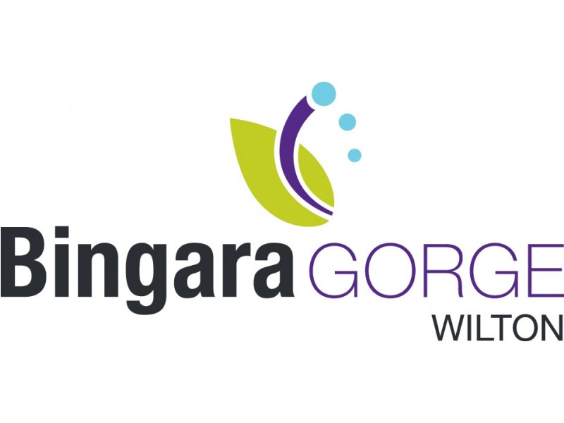 Lot 66 Penrose Street, Wilton NSW 2571