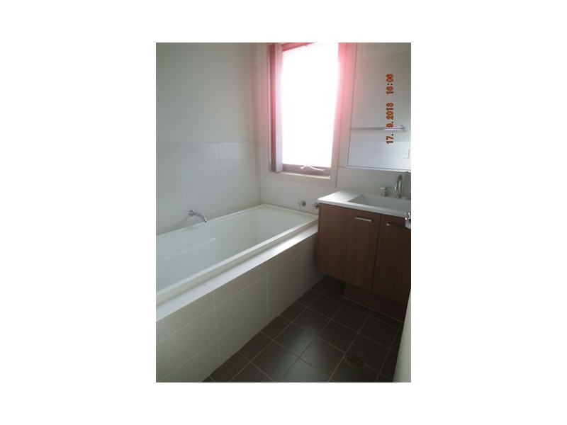 31 Bandara Circuit, Spring Farm NSW 2570