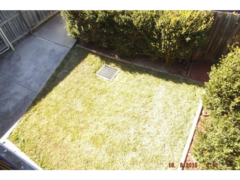 10 Pickets Place, Currans Hill NSW 2567