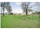 826 Cut Hill Road, Cobbitty NSW 2570
