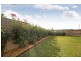 4 Jacksonia Street, Mount Annan NSW 2567